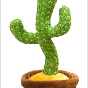Dancing Cactus